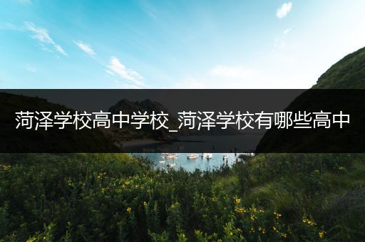 菏泽学校高中学校_菏泽学校有哪些高中