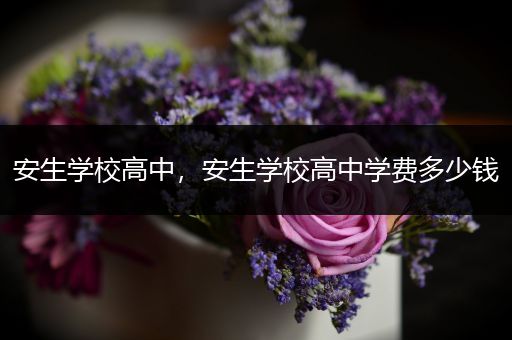 安生学校高中，安生学校高中学费多少钱