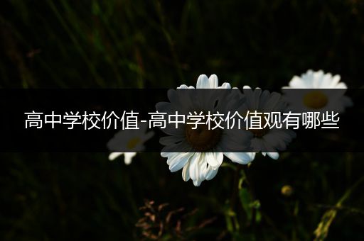 高中学校价值-高中学校价值观有哪些