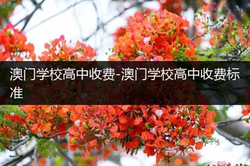 澳门学校高中收费-澳门学校高中收费标准