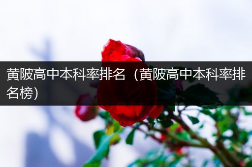 黄陂高中本科率排名（黄陂高中本科率排名榜）