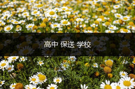 高中 保送 学校