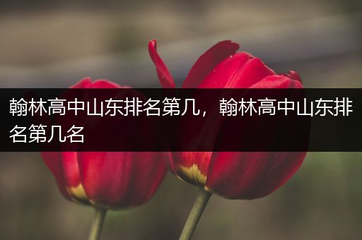 翰林高中山东排名第几，翰林高中山东排名第几名