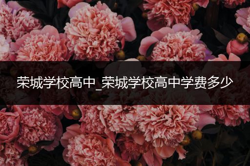 荣城学校高中_荣城学校高中学费多少