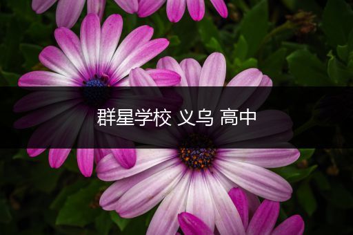 群星学校 义乌 高中
