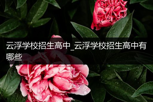云浮学校招生高中_云浮学校招生高中有哪些
