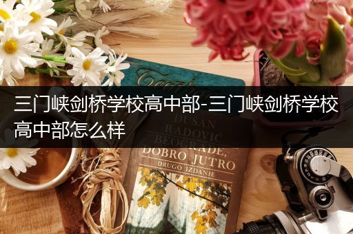 三门峡剑桥学校高中部-三门峡剑桥学校高中部怎么样