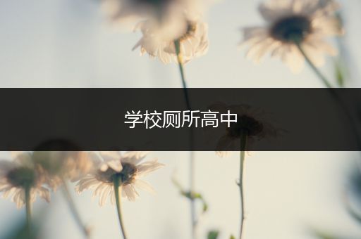 学校厕所高中