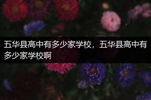 五华县高中有多少家学校，五华县高中有多少家学校啊