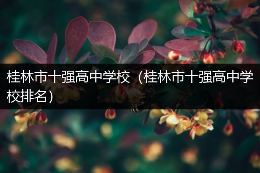 桂林市十强高中学校（桂林市十强高中学校排名）