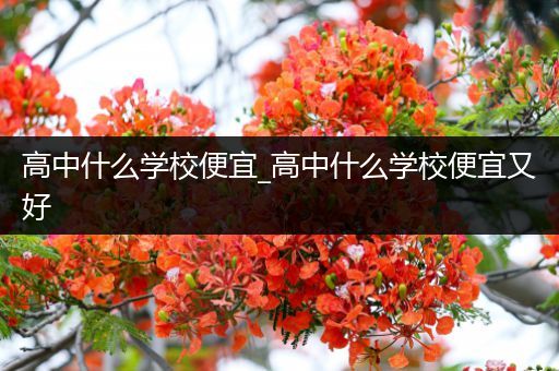 高中什么学校便宜_高中什么学校便宜又好