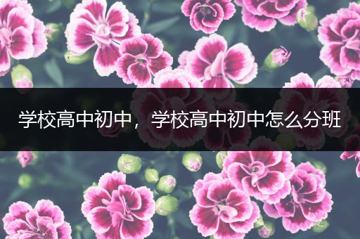 学校高中初中，学校高中初中怎么分班