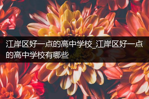 江岸区好一点的高中学校_江岸区好一点的高中学校有哪些