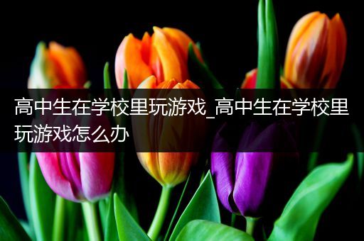 高中生在学校里玩游戏_高中生在学校里玩游戏怎么办