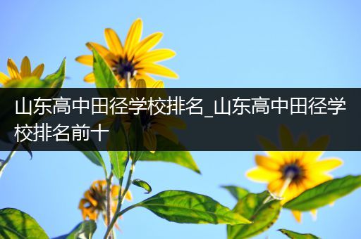 山东高中田径学校排名_山东高中田径学校排名前十
