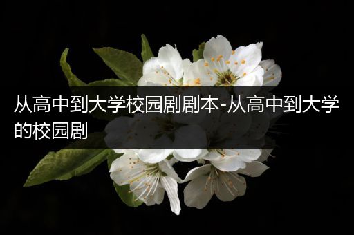 从高中到大学校园剧剧本-从高中到大学的校园剧