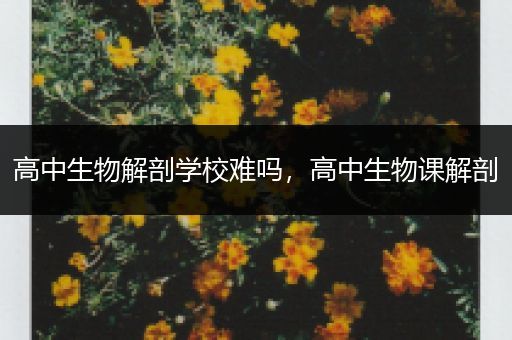 高中生物解剖学校难吗，高中生物课解剖