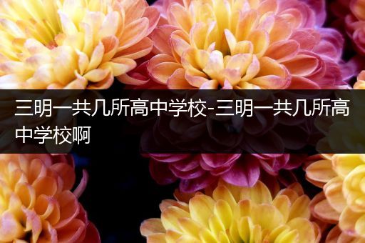 三明一共几所高中学校-三明一共几所高中学校啊