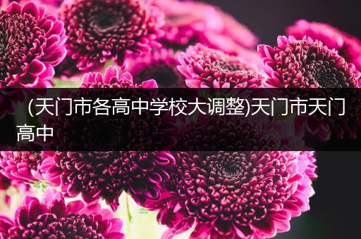 （天门市各高中学校大调整)天门市天门高中