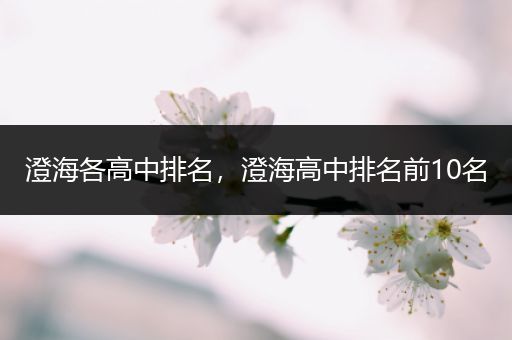 澄海各高中排名，澄海高中排名前10名
