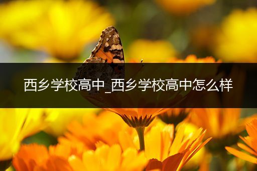 西乡学校高中_西乡学校高中怎么样