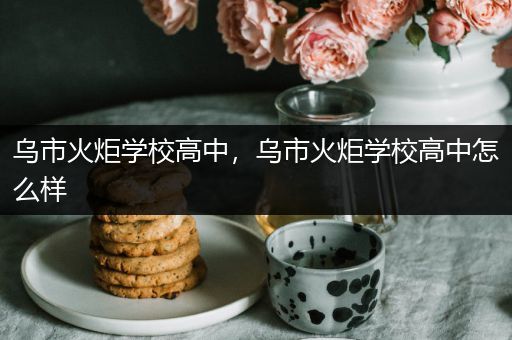 乌市火炬学校高中，乌市火炬学校高中怎么样