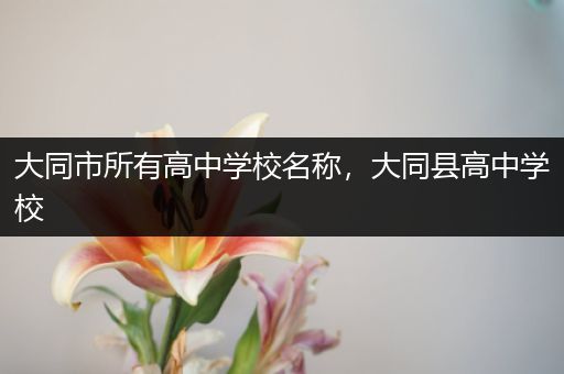 大同市所有高中学校名称，大同县高中学校