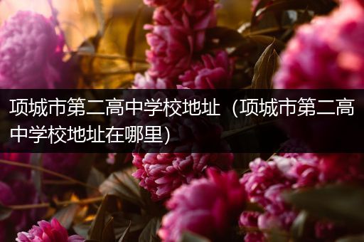 项城市第二高中学校地址（项城市第二高中学校地址在哪里）