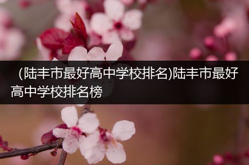 （陆丰市最好高中学校排名)陆丰市最好高中学校排名榜
