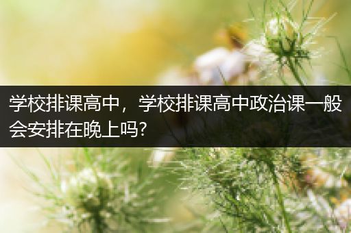 学校排课高中，学校排课高中政治课一般会安排在晚上吗?