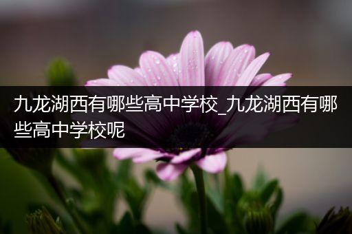 九龙湖西有哪些高中学校_九龙湖西有哪些高中学校呢