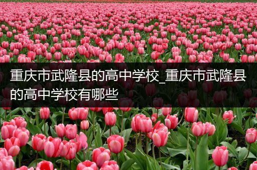 重庆市武隆县的高中学校_重庆市武隆县的高中学校有哪些