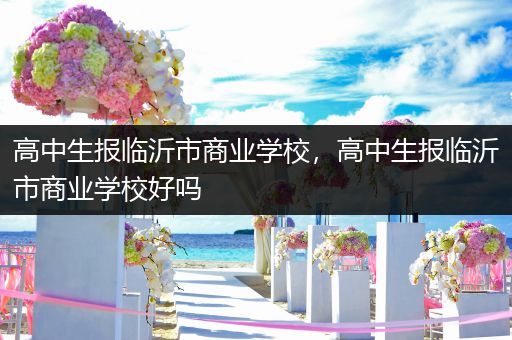 高中生报临沂市商业学校，高中生报临沂市商业学校好吗