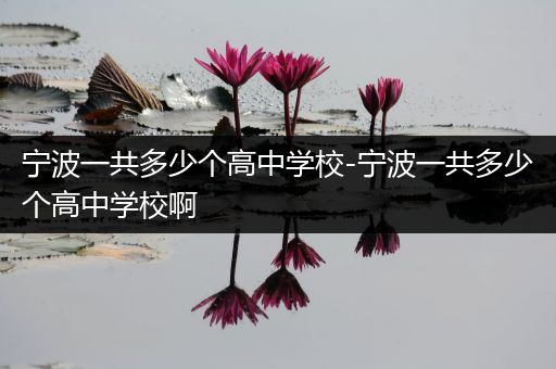 宁波一共多少个高中学校-宁波一共多少个高中学校啊