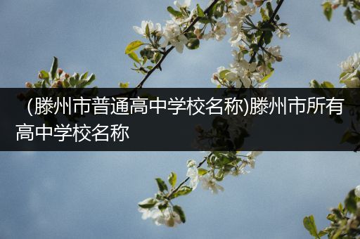 （滕州市普通高中学校名称)滕州市所有高中学校名称