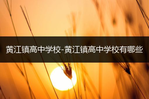 黄江镇高中学校-黄江镇高中学校有哪些
