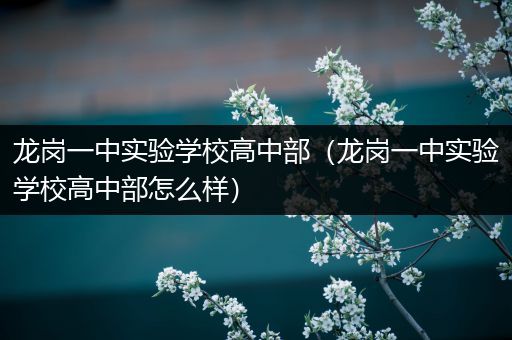 龙岗一中实验学校高中部（龙岗一中实验学校高中部怎么样）