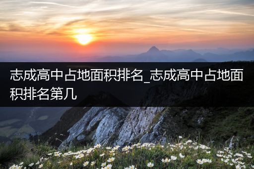 志成高中占地面积排名_志成高中占地面积排名第几