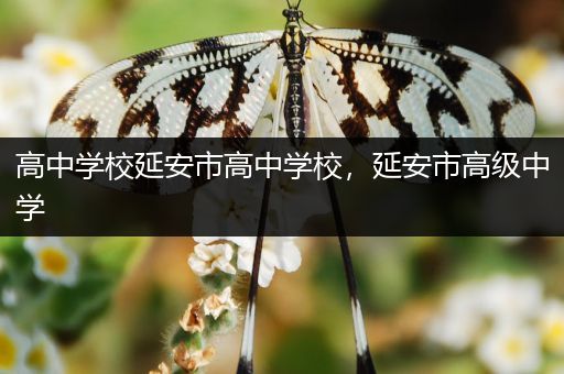 高中学校延安市高中学校，延安市高级中学