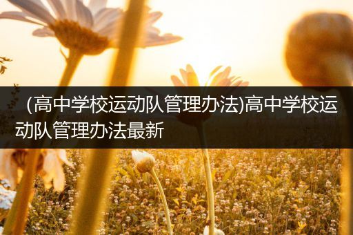 （高中学校运动队管理办法)高中学校运动队管理办法最新
