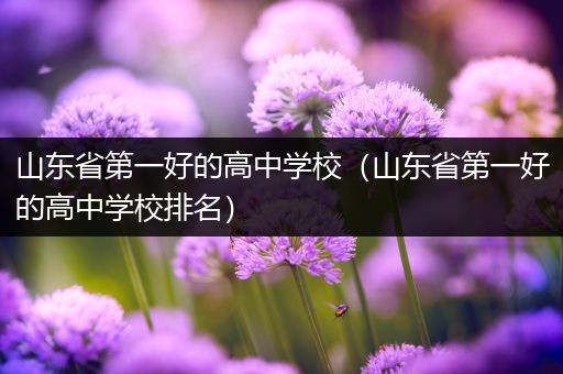山东省第一好的高中学校（山东省第一好的高中学校排名）