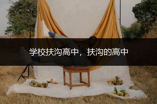 学校扶沟高中，扶沟的高中