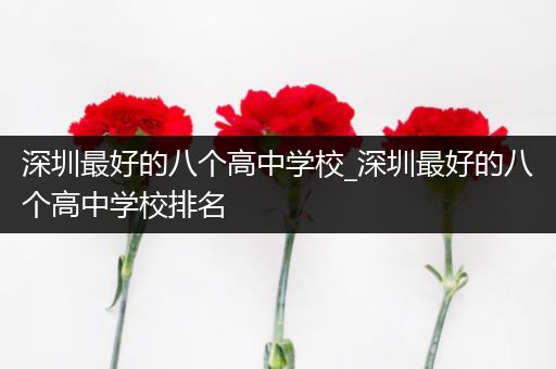 深圳最好的八个高中学校_深圳最好的八个高中学校排名