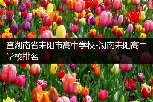 查湖南省耒阳市高中学校-湖南耒阳高中学校排名