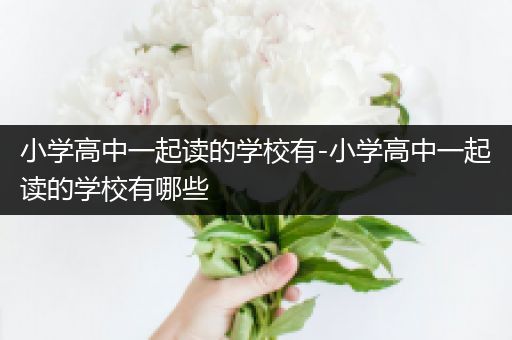 小学高中一起读的学校有-小学高中一起读的学校有哪些