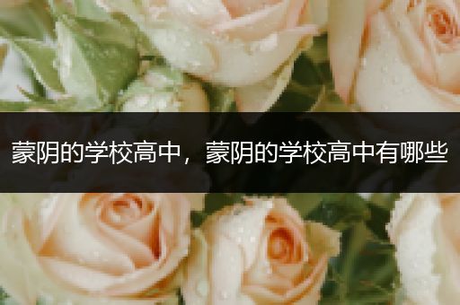 蒙阴的学校高中，蒙阴的学校高中有哪些