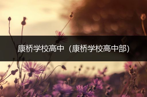 康桥学校高中（康桥学校高中部）