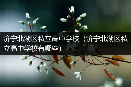 济宁北湖区私立高中学校（济宁北湖区私立高中学校有哪些）