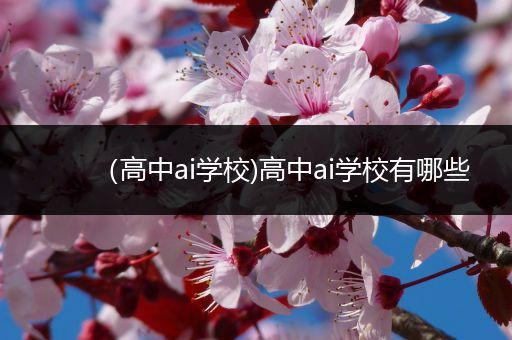 （高中ai学校)高中ai学校有哪些