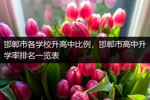 邯郸市各学校升高中比例，邯郸市高中升学率排名一览表